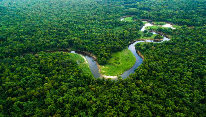 Bird's eye view of a river surrounded by forest