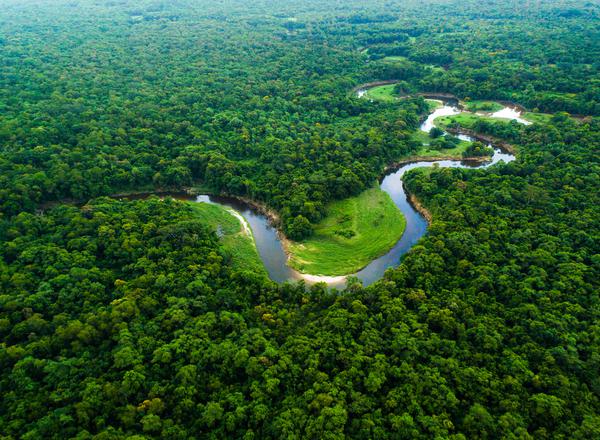 Bird's eye view of a river surrounded by forest